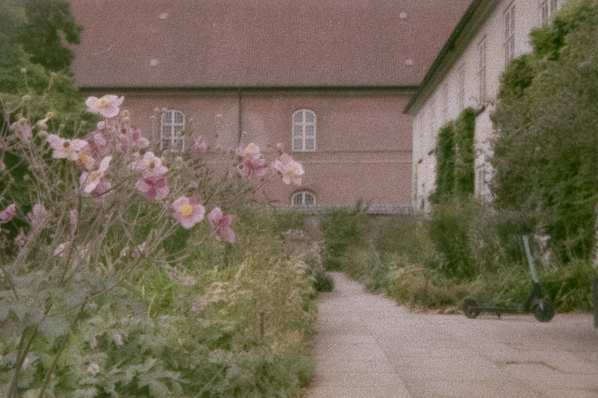 analogt foto